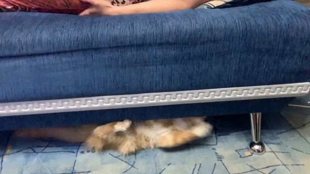 Подготовка к сдаче на краповый берет смотреть онлайн