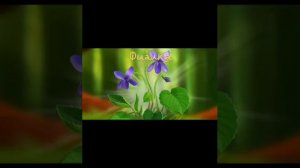 Ознакомление с растениями луга