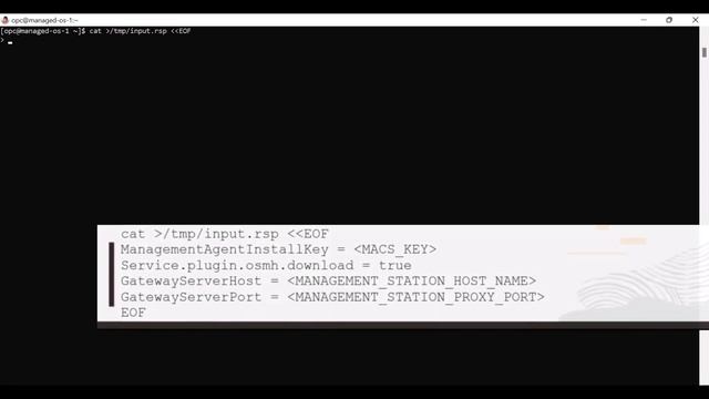 Registering Instances to Oracle OS Management Hub смотреть онлайн