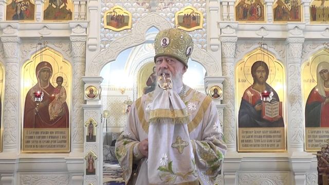 Мы не имеем воли к жизни смотреть онлайн