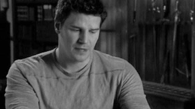 David Boreanaz Divano