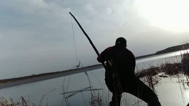 Весенний,жёлтый карась на подъёмник. смотреть онлайн