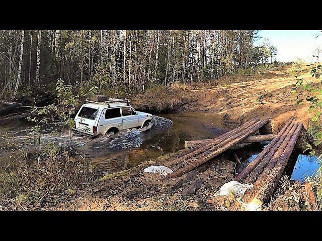 “ТАЙГА” ПРОБИРАЮСЬ ОДИН! “ДОБРАЛСЯ ДО ТАЁЖНОЙ ИЗБЫ” НЕВЕРОЯТНЫЕ! КРАСИВЫЕ! МЕСТА! НАЧИНАЮ ПОИСКИ смотреть онлайн