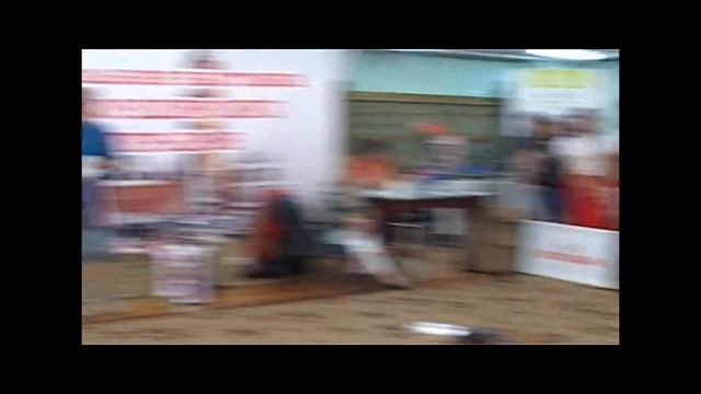 Национальная выставка стаффордширских бультерьеров 8.06.13, г Новосибирск смотреть онлайн