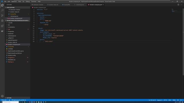 Setting up Orchard Core Web App and a MS SQL Server running in Docker Containers via Docker Compos смотреть онлайн