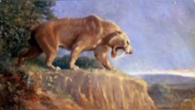 AMERICAN LION VS SMILODON POPULATOR. WHO WOULD WIN IN A FIGHT BETWEEN THESE TWO EXTINCT CATS. смотреть онлайн
