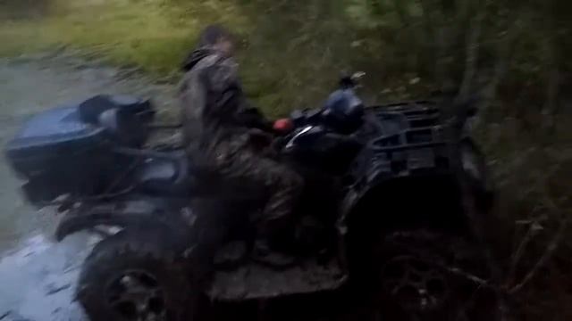 Cf500 2a в болоте смотреть онлайн