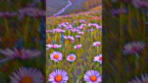 песни для уборки или для танцев