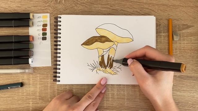 Как нарисовать маслята карандашом и скетч маркерами | Рисунок для детей, поэтапно и легко смотреть онлайн