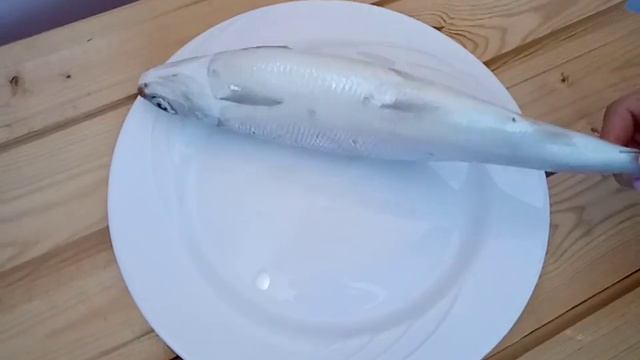 Молочная рыба (Ханос) смотреть онлайн