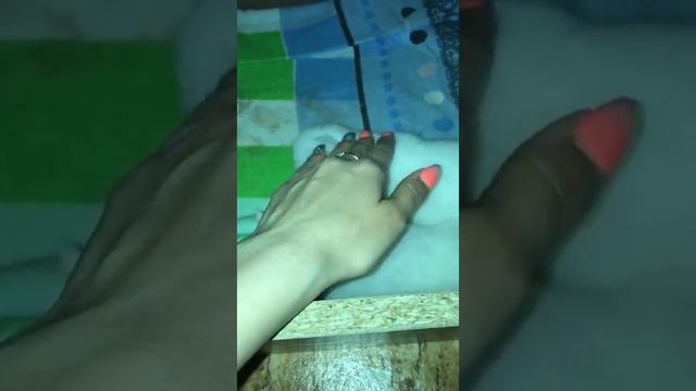 Красивые белые котята смотреть онлайн