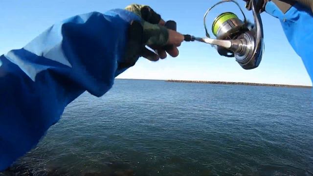 [Jigpara Spin] How to Fish Saltwater? [Major Craft] смотреть онлайн