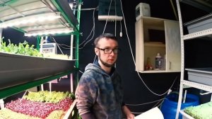 Стеллаж своими руками для выращивания микрозелени за 4000руб +