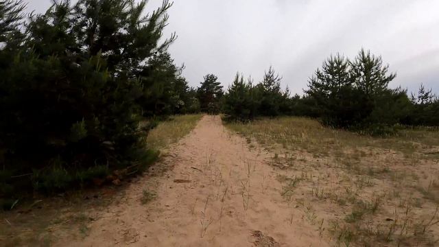 Обзор GoPro 9. Лучшая стабилизация и ужасный звук. смотреть онлайн