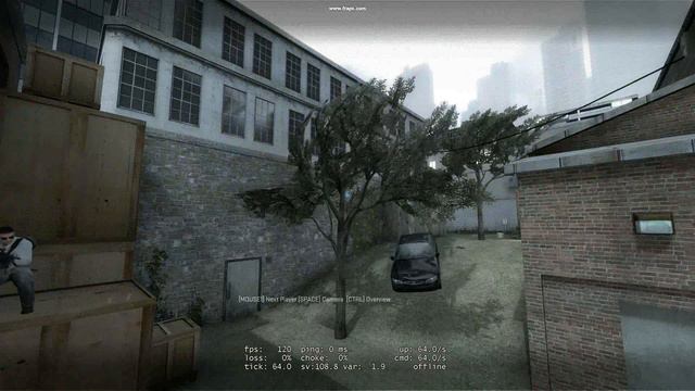 Trees go wild in CSGO смотреть онлайн