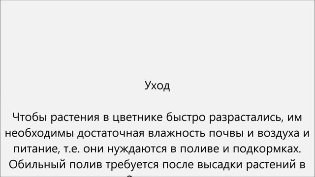 Бегония уход.Бегония домашняя уход смотреть онлайн