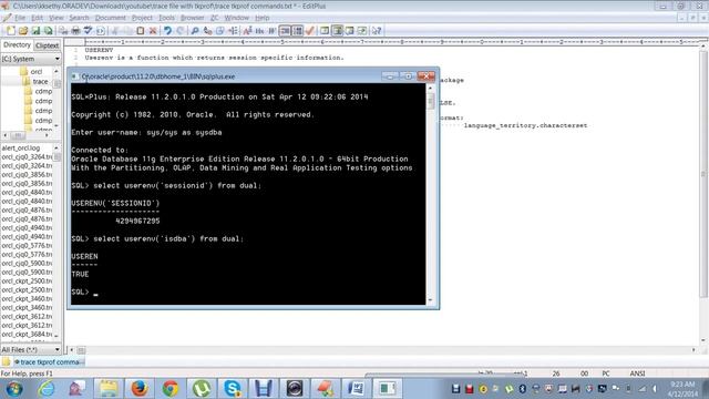Userenv function in oracle смотреть онлайн