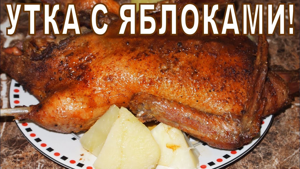 УТКА с ЯБЛОКАМИ! смотреть онлайн