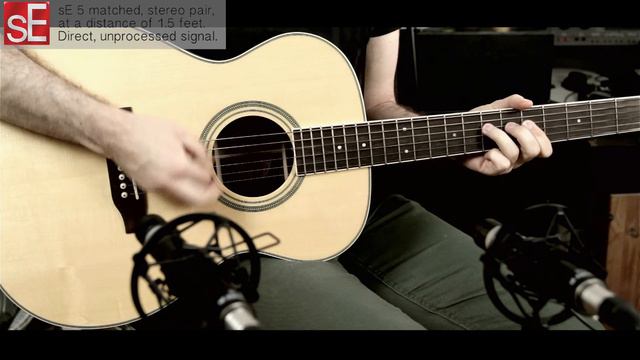 The sE5 - Modern Acoustic Guitar смотреть онлайн