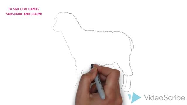 How to Draw a Sheep / Как нарисовать овцу смотреть онлайн