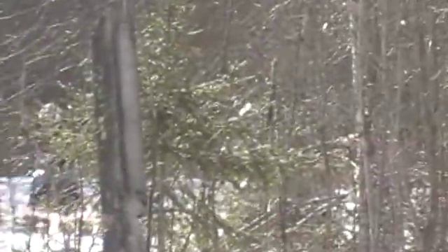 МХ2-юниоры. Открытый Кубок Вологодской области-09.03.14. смотреть онлайн