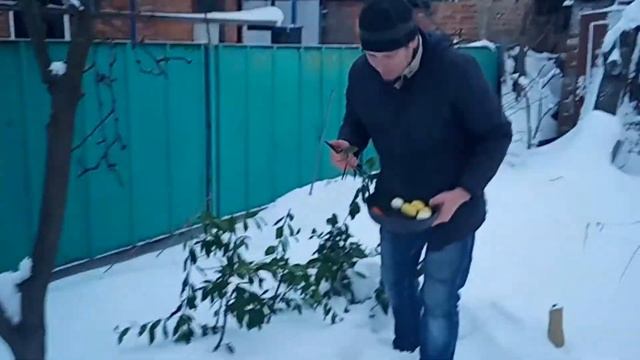 Веганские Рецепты