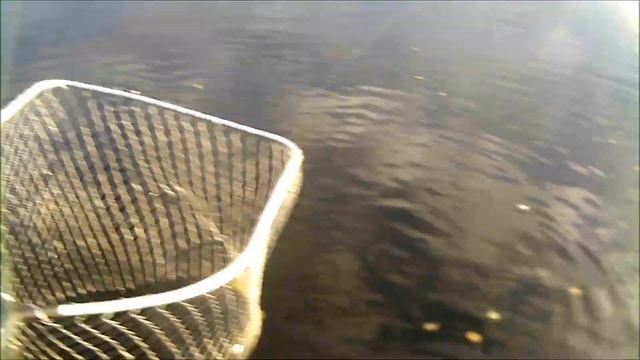 Рыбалка в Карелии очередная Трофейная щука смотреть онлайн