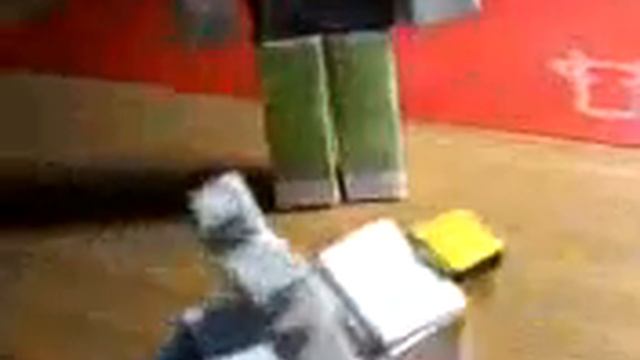 Обзор на собачку из майнкрафта смотреть онлайн