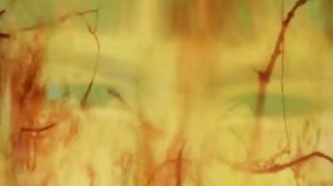 Enigma - The Eyes Of Truth (Official Video)