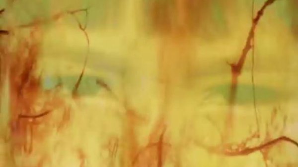 Enigma - The Eyes Of Truth (Official Video)