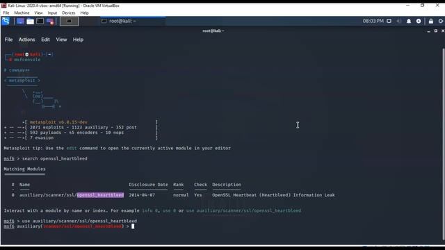 Heartbleed OpenSSL Exploit Vulnerability