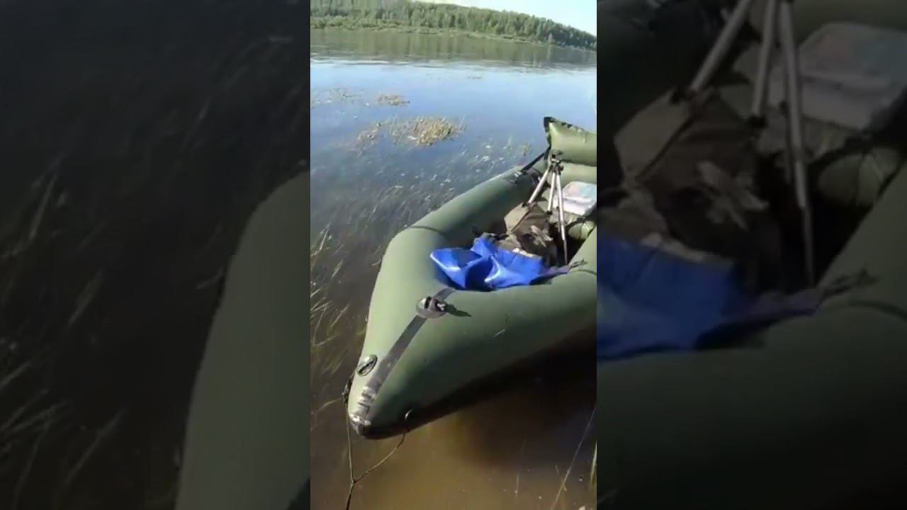 Окунь на джиг, красавец