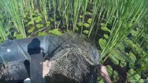 УСТАНОВКА МЕРЕЖИ