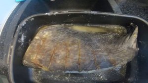 Вяленый Сом в домашних условиях со специями