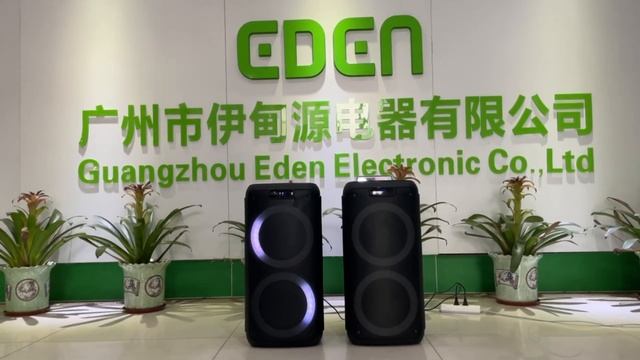 Dual 8 inch party karaoke speaker смотреть онлайн