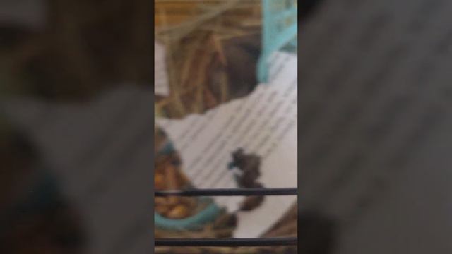 Что делает Буба утром 2 часть смотреть онлайн