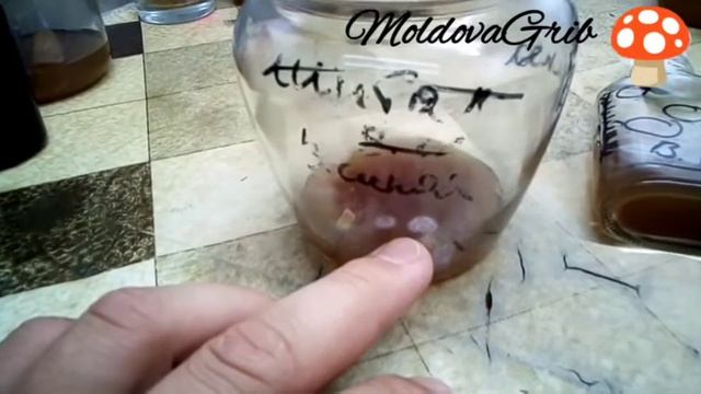 очистка культуры смотреть онлайн