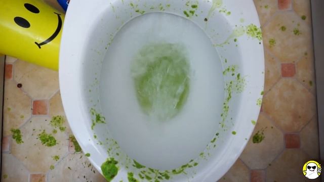 Will It Flush? Lots Of Flushes Compilation