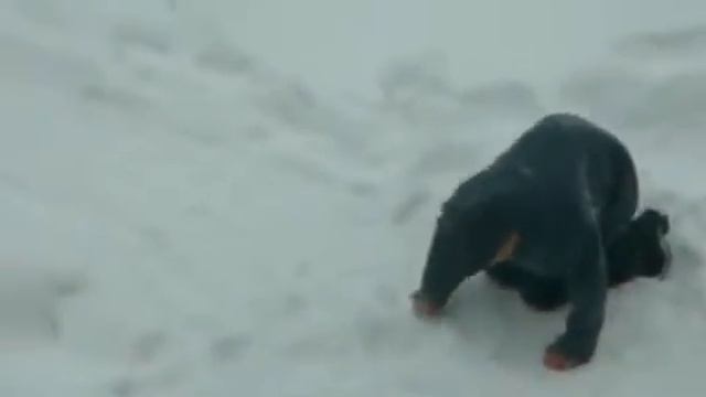 Пяный и сугроб смотреть онлайн