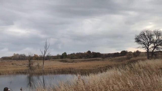 Пруд хутора Ежова. смотреть онлайн