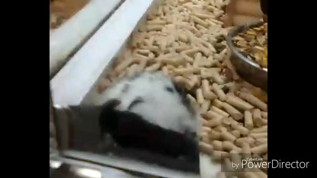 ОБЗОР НА МАГАЗИН БЕТХОВЕН НА ПАУСТОВСКОГО смотреть онлайн