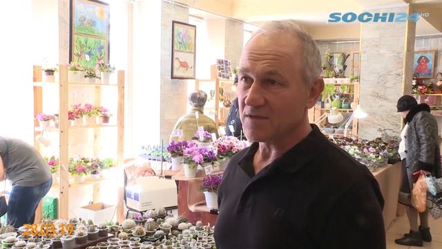 Комнатные растения: уникальные коллекции, которые собрали сочинцы смотреть онлайн