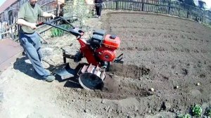 Сажаем картошку мотоблоком под плуг