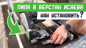 Как я установил погружную пилу в верстак Михаила Исаева - Бородатая Дверь