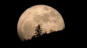 Type O Negative-Wolf Moon