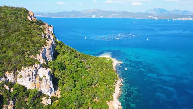 Mega Hits 2024 🌱 The Best Of Vocal Deep House Music Mix 2024 🌱 Summer Music Mix 2024 #164 смотреть онлайн