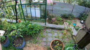 Пробиокс Апи используем в пчеловодстве .  2022 год.