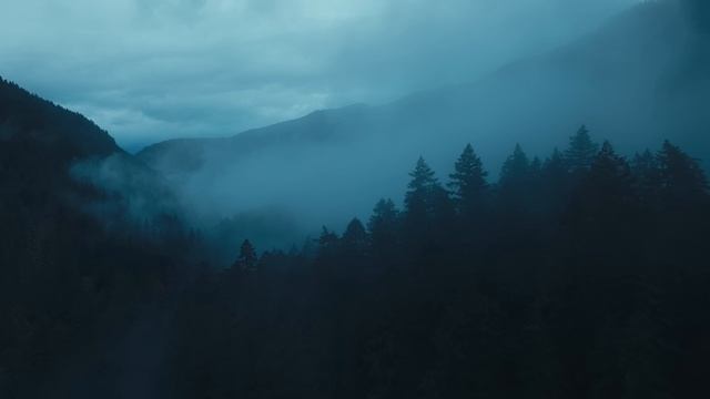 Jordan Critz. Starry Night