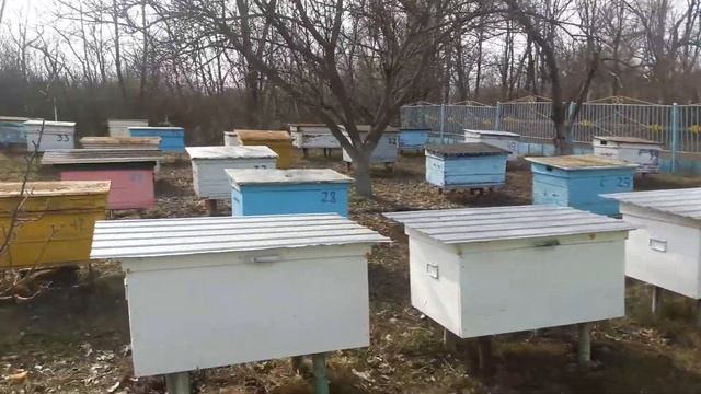 ПОКРАСКА УЛЬЯ ВОДОЭМУЛЬСИОНКОЙ. смотреть онлайн
