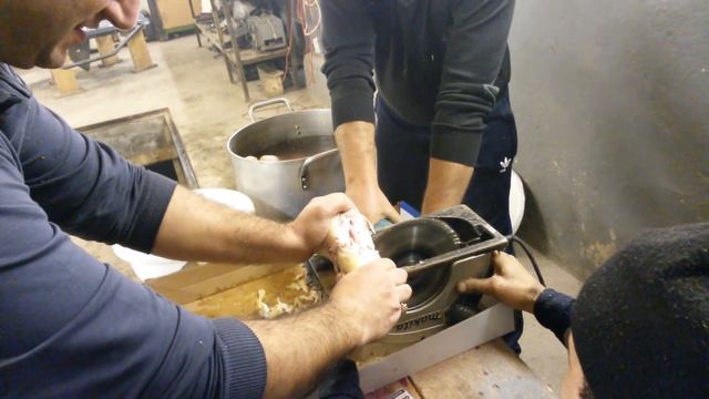 ХАШ смотреть онлайн